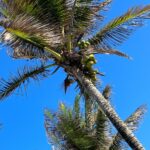 PHOTO-2025-07-20-06-54-24